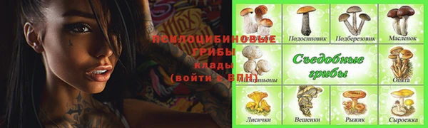 твердый Горно-Алтайск